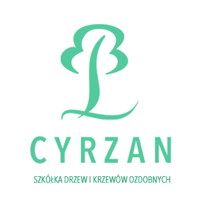 Cyrzan – Szkółka drzew i krzewów ozdobnych